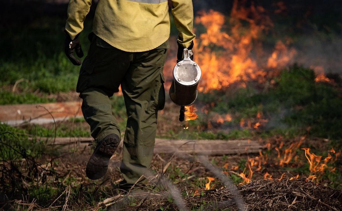 FOTO: Incendios en las islas frente a Rosario: fuego “contenido” por brigadistas.