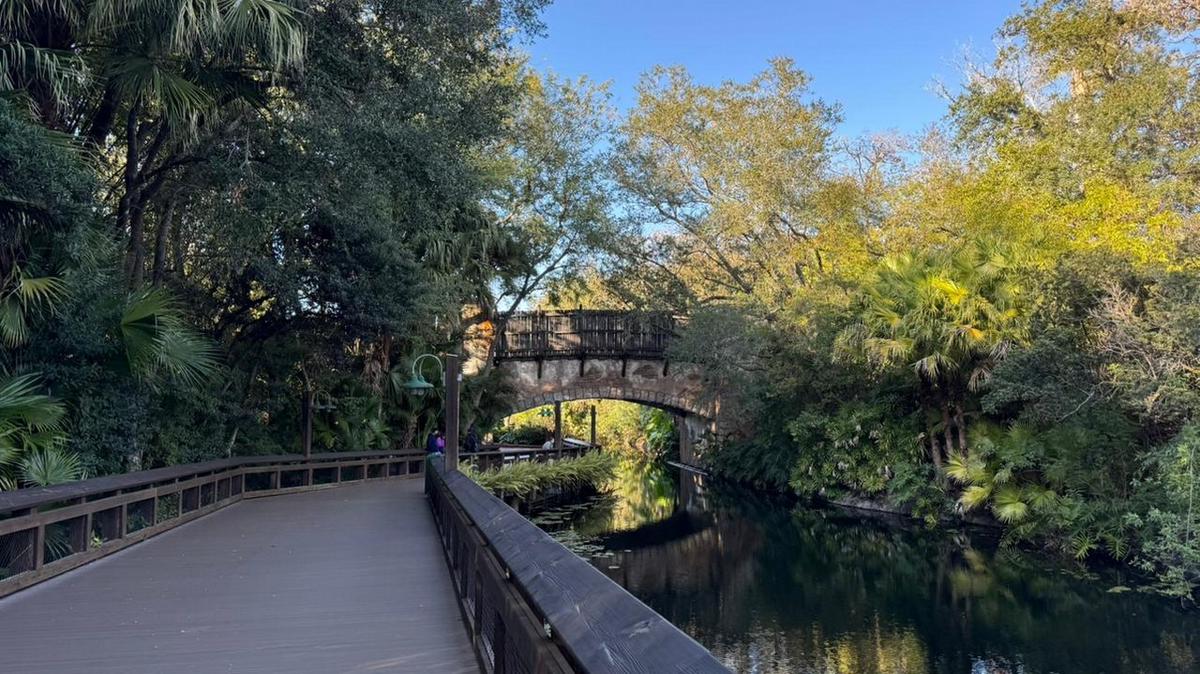 Una experiencia inolvidable en Disney: montañas rusas y aventuras emocionantes