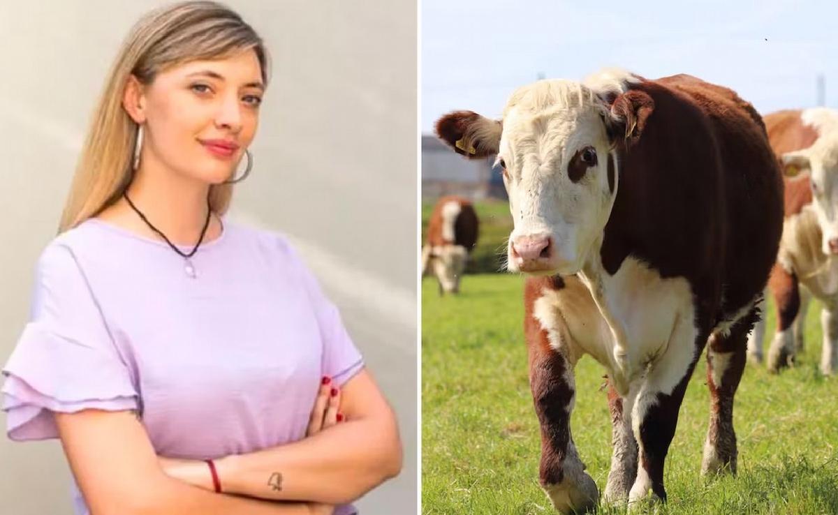 Una diputada propone crear un impuesto a los eructos de las vacas.