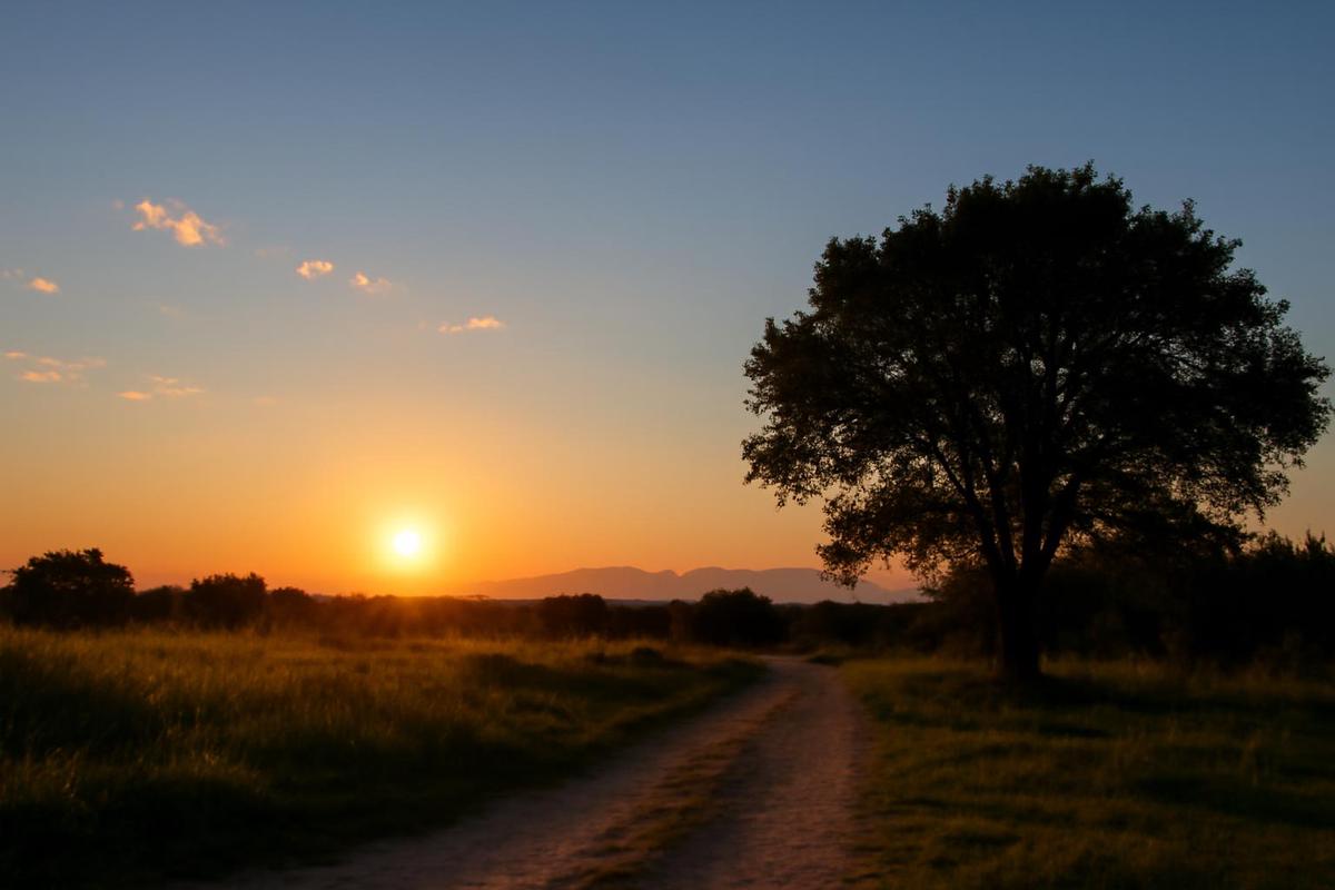 Clima en Salta: pronóstico del tiempo para el 24 de septiembre