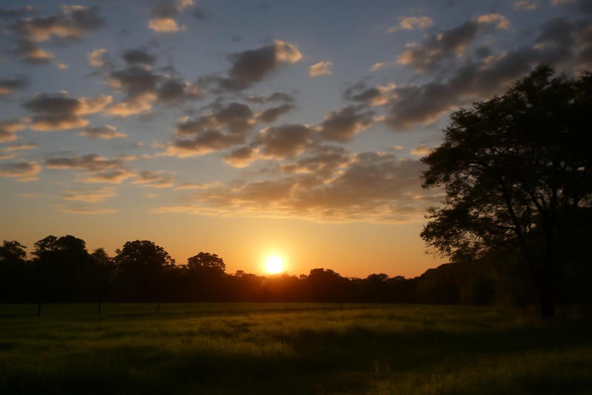 Tormentas y calor en Tucumán: pronóstico del tiempo para el 29 de noviembre