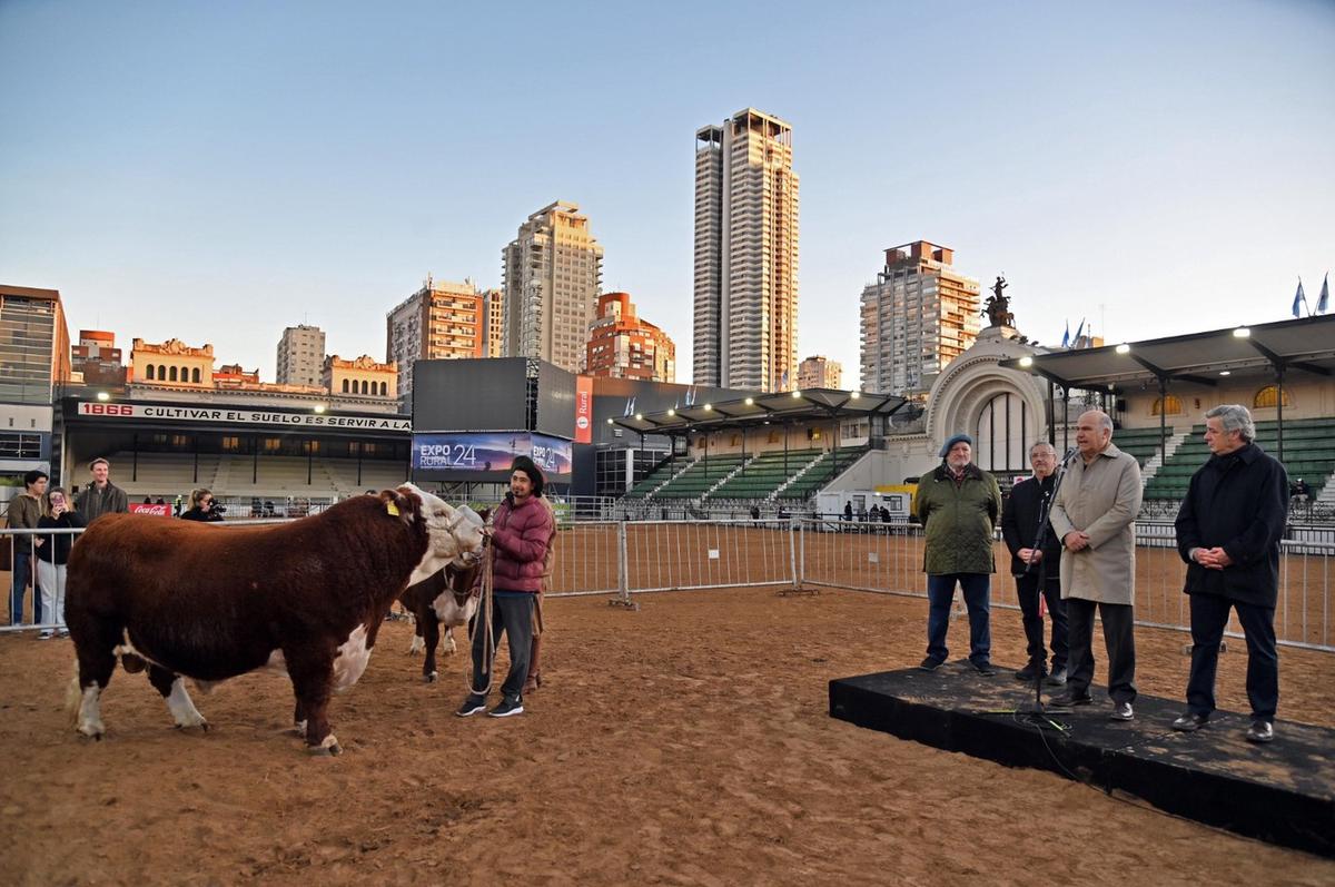 Torazo en su rodeo. "Místico" fue el primero en ingresar a Palermo. 