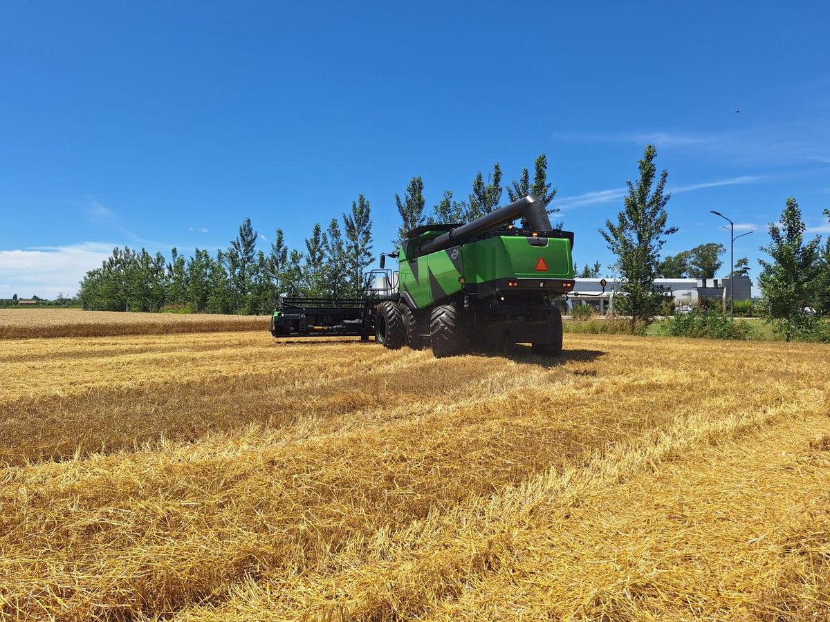 Un campañón. Los rindes siguen sorprendiendo a lo largo de todo el país.