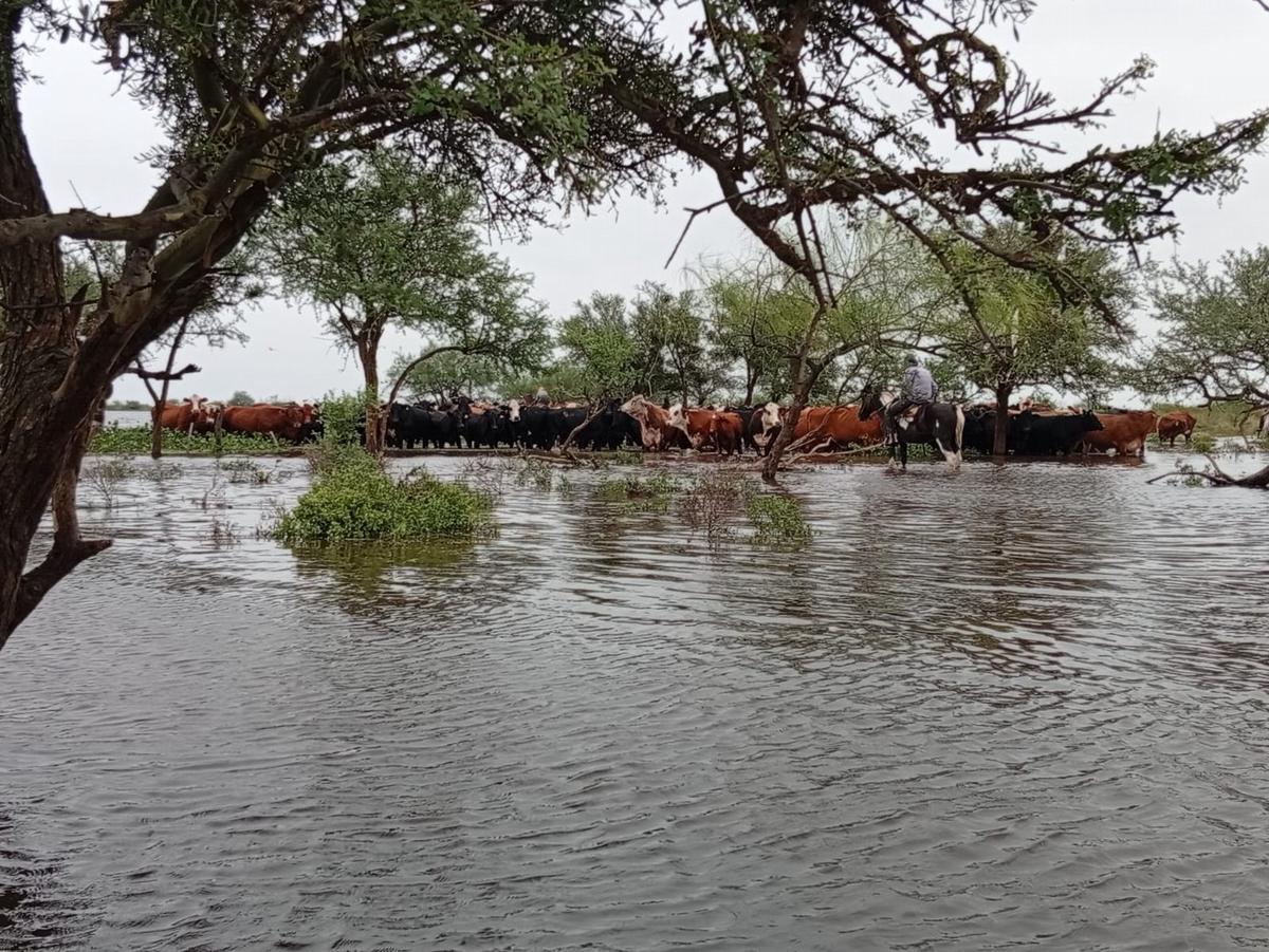 Emergencia hídrica en Fortín Olmos