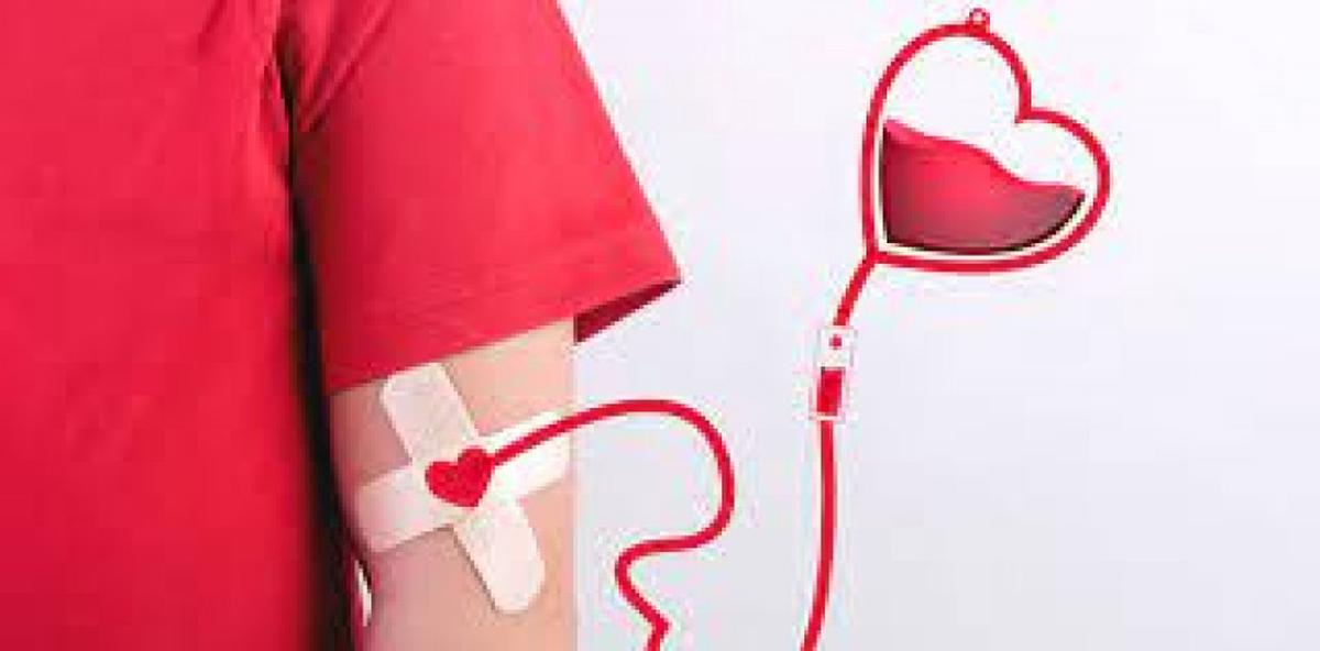 La modernización del Sistema Nacional de Sangre optimiza la donación en Argentina