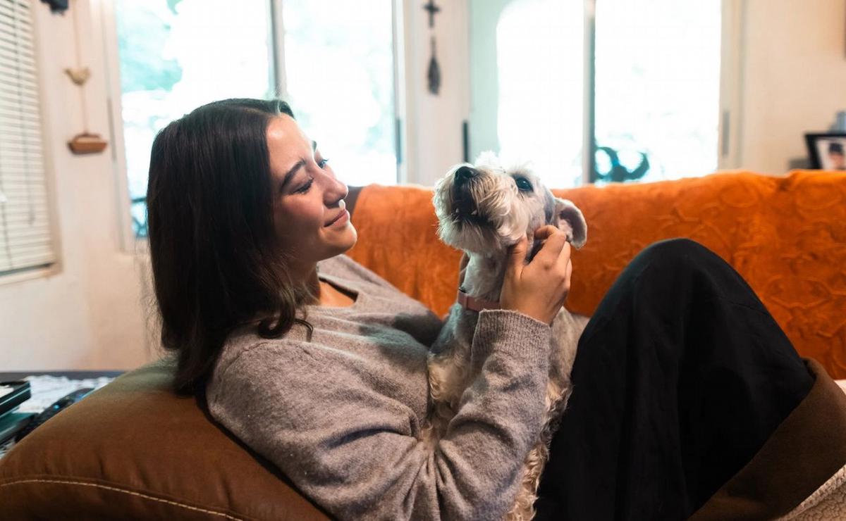 Lanzaron una plataforma para conectar con cuidadores de perros.