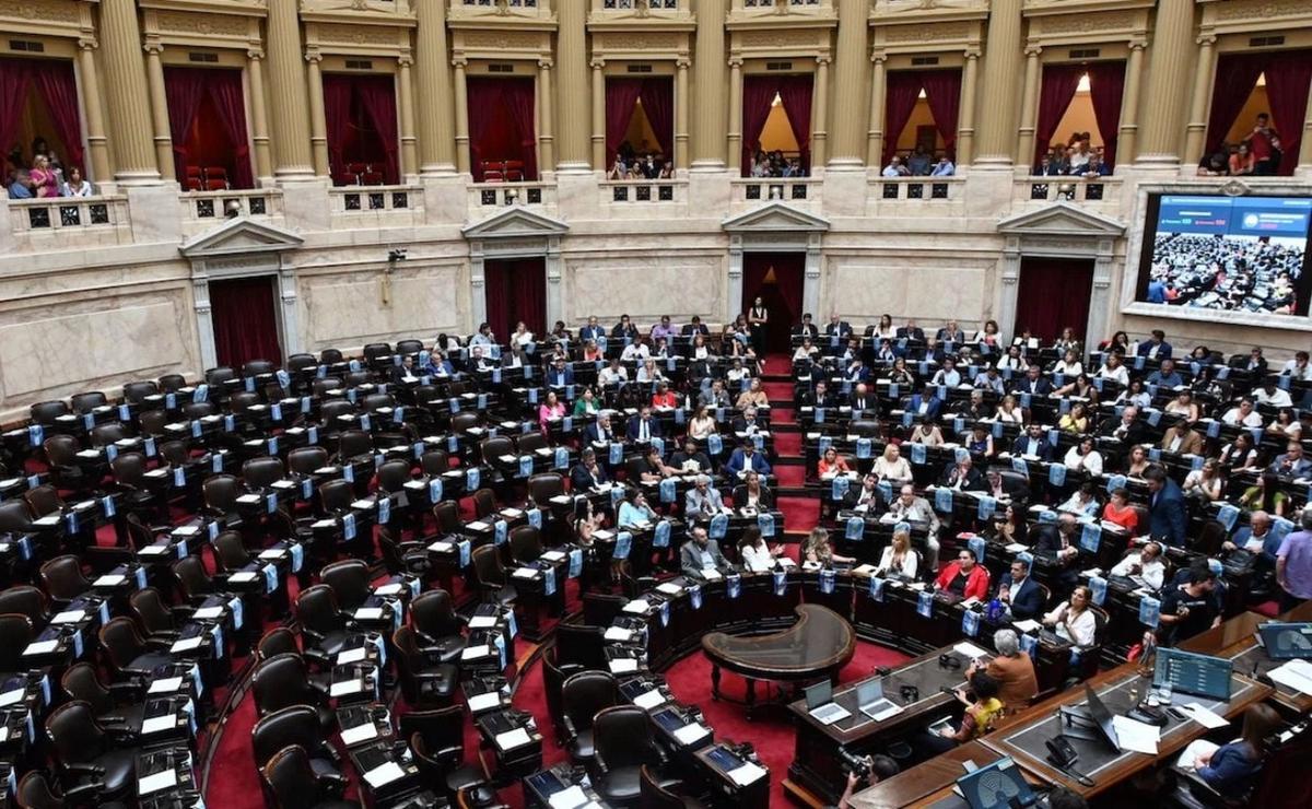 FOTO: El PRO definió que no dará quórum en Diputados para reformar la ley de DNU (Foto: NA)