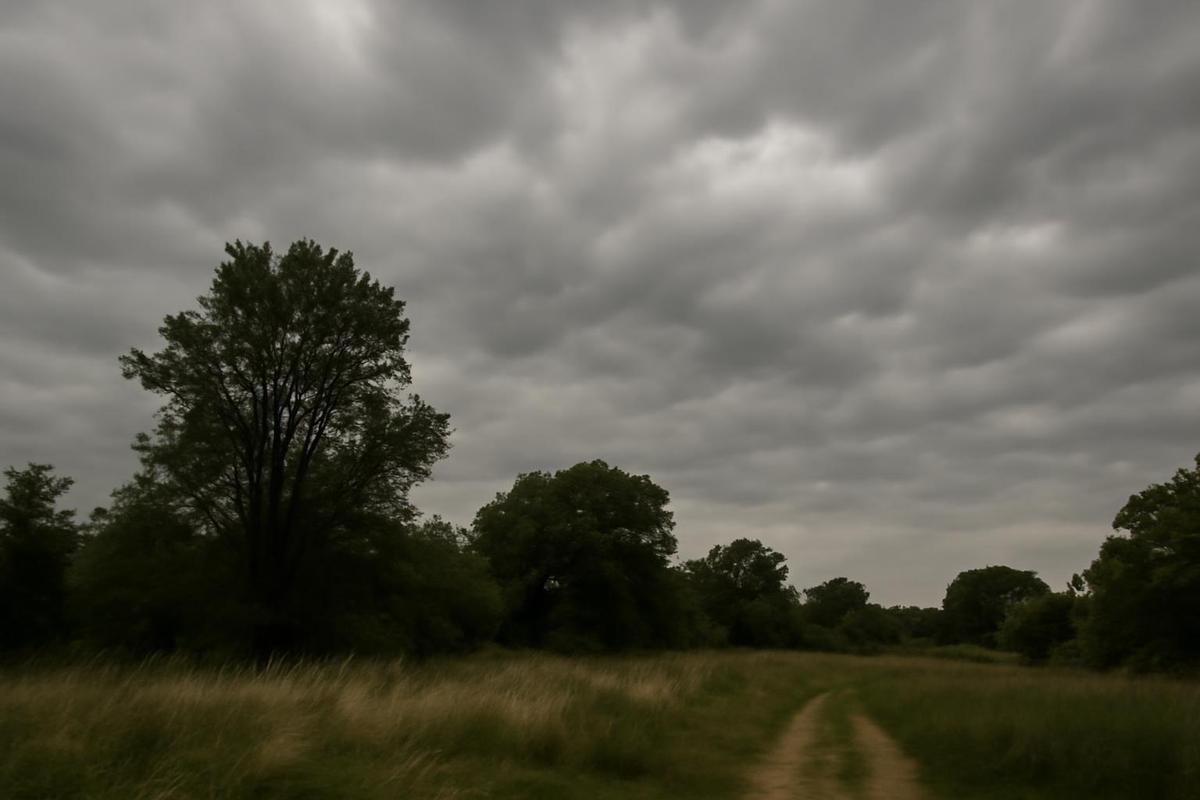 Estado del tiempo en CABA para el lunes 30 de marzo