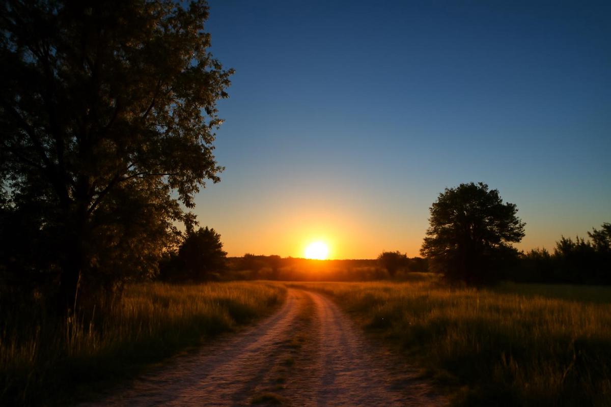 Clima en Santa Fe: pronóstico del tiempo para el 16 de diciembre
