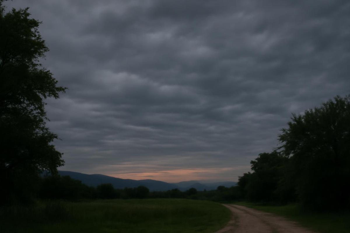Clima en Salta: pronóstico del tiempo para el 20 de octubre