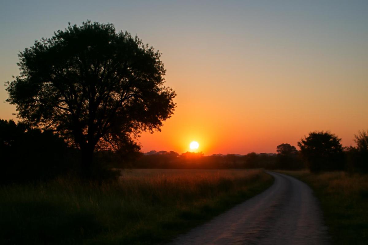 Clima en Santa Fe: pronóstico del tiempo para el 4 de diciembre