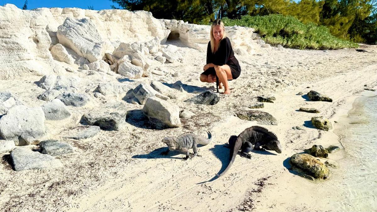 Excursión en Cayo Largo: un día de aventura y diversión en el Caribe cubano