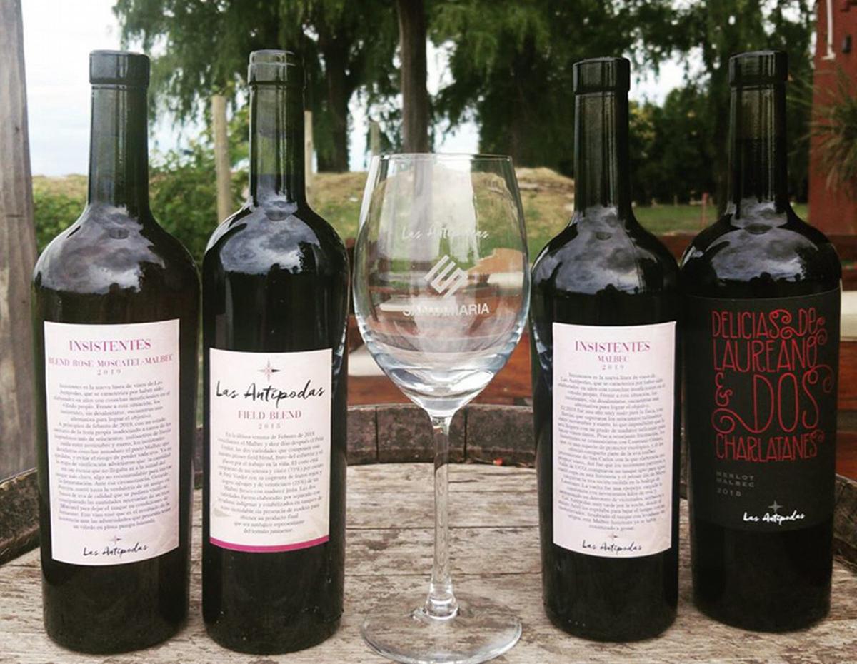 Vino en la Pampa: un sueño hecho realidad