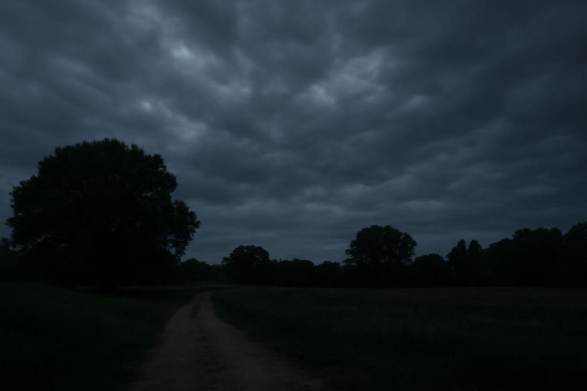 Clima en CABA: pronóstico del tiempo para el 23 de junio