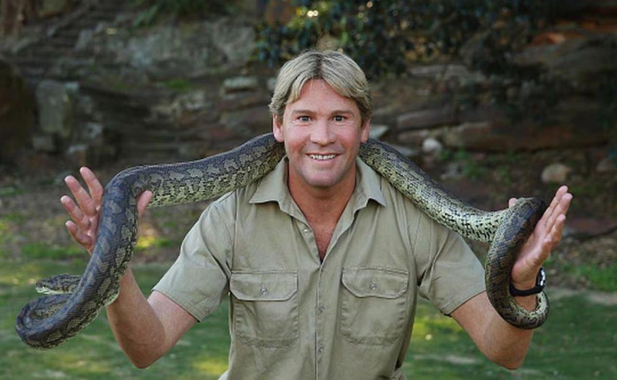 Descubren una nueva especie de serpiente en Nicobar, homenaje a Steve Irwin.