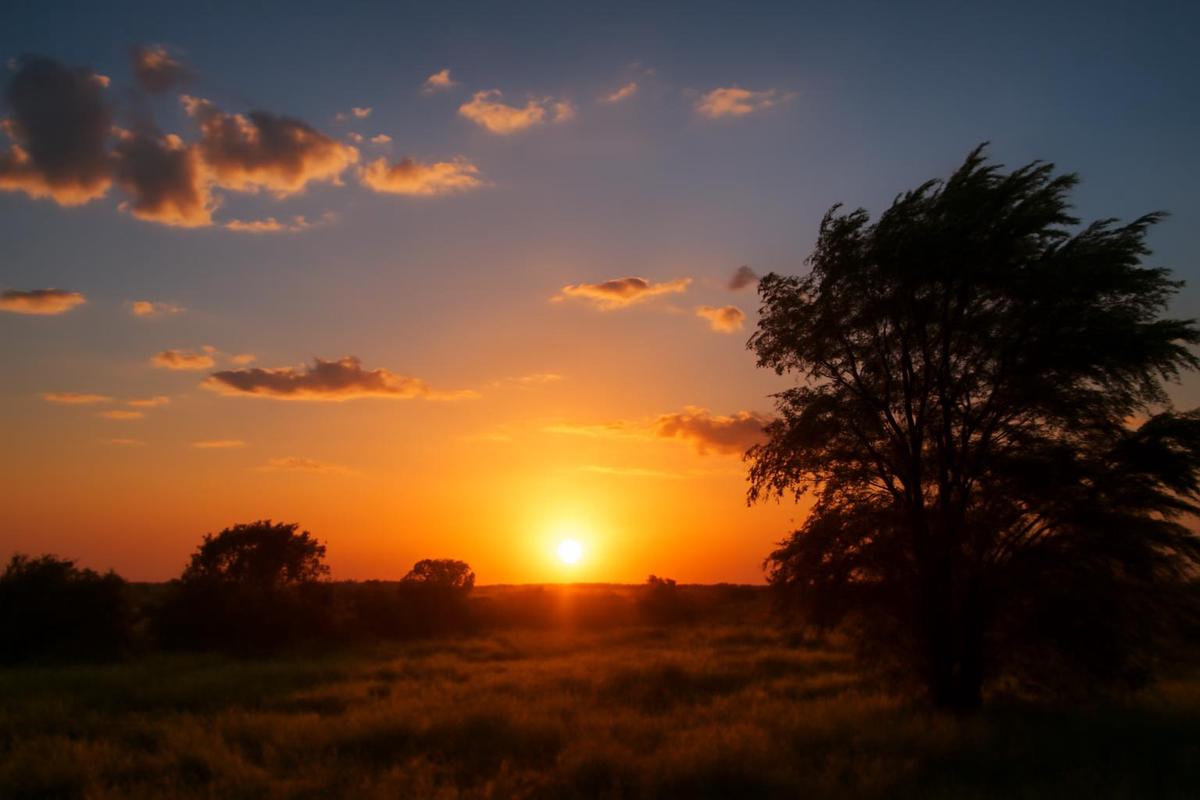 Clima en Rosario: temperaturas y pronóstico para el 11 de diciembre