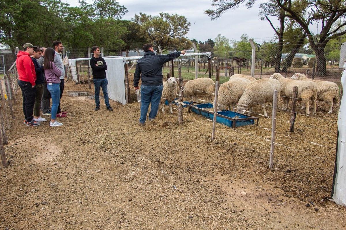 INTA Brinda capacitaciones y charlas a los producotres interesados