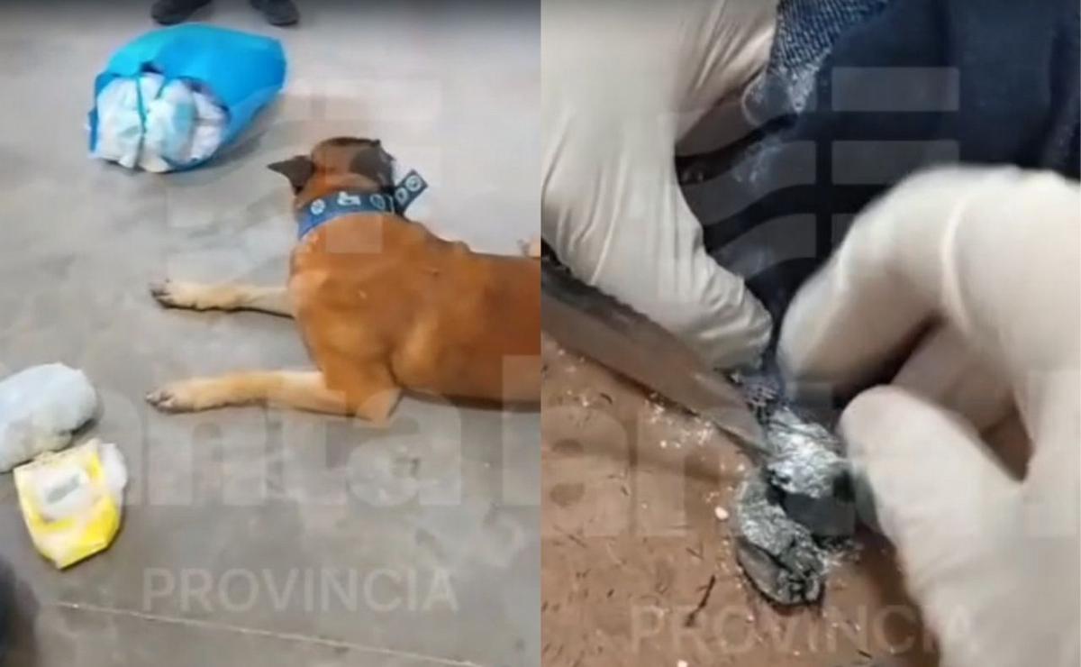 Santa Fe: intentaron entrar droga a un penal en un paquete de yerba