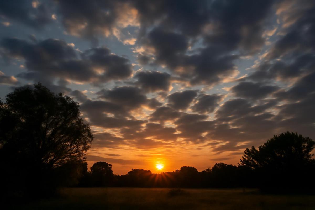 Clima en CABA: pronóstico del tiempo para el 8 de diciembre