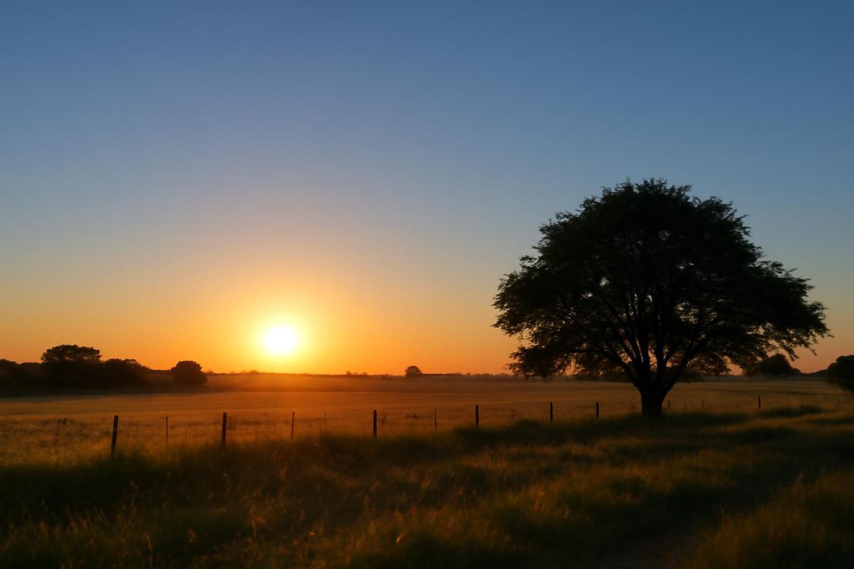 Clima en Córdoba: pronóstico del tiempo para el 9 de diciembre