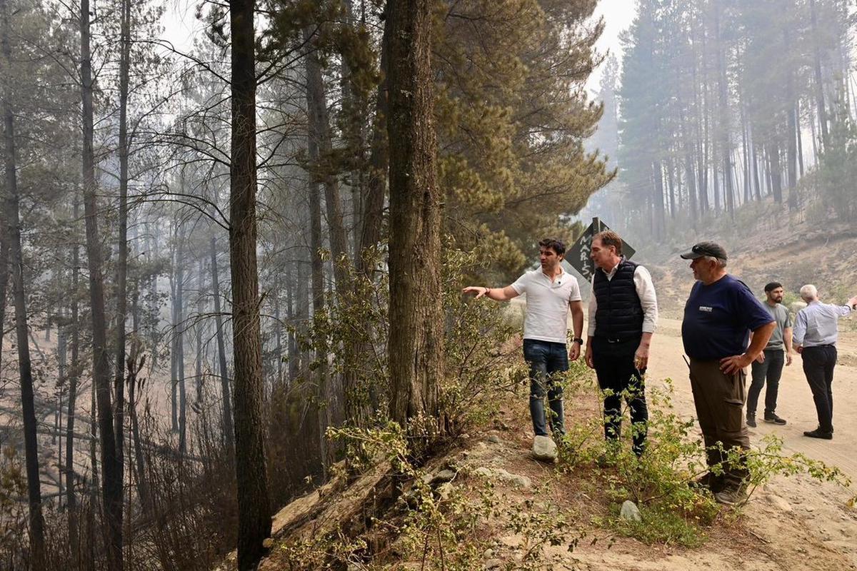 Incendios en Chubut: millonaria recompensa para dar con los responsables