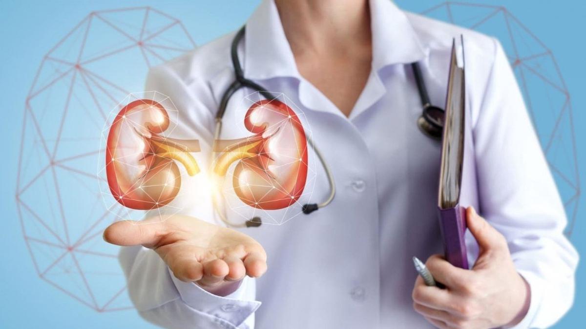 Impulsan mejoras en la atención a pacientes con enfermedad renal crónica