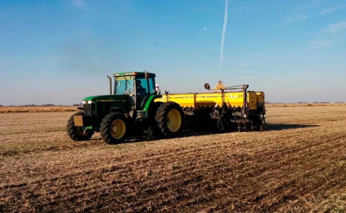 FOTO: Descartaron un efecto dominó en el sector agropecuario.