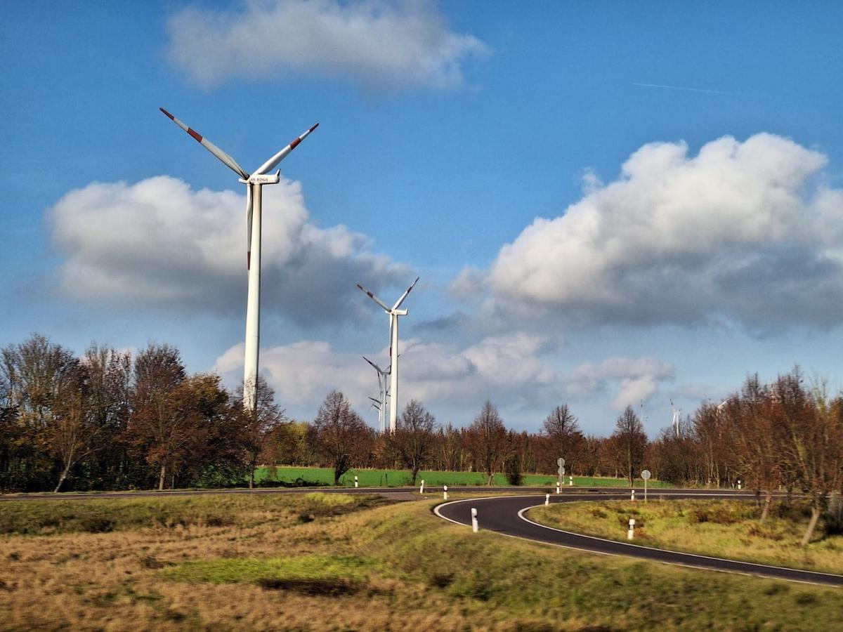 Contra viento y marea. Los campos alemanes se están plagando de molinos.