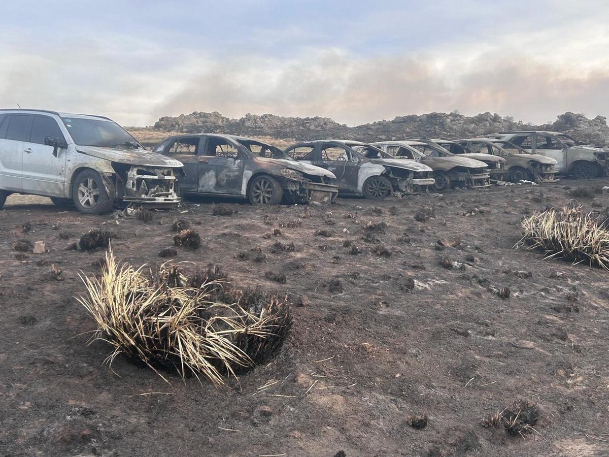 El fuego consumió a 15 autos estacionados.