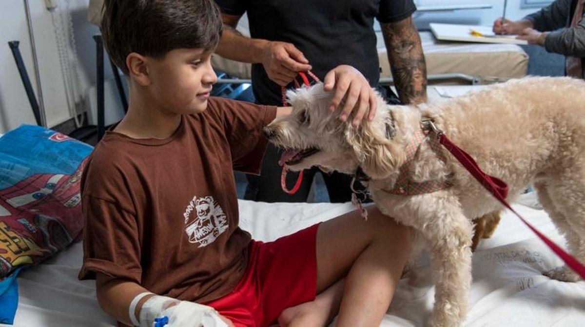 Zafira y Cala en el Hospital Víctor J. Vilela.