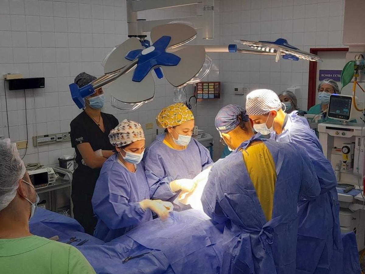 Más de 7.300 personas aguardan un trasplante: cómo se puede ser donante