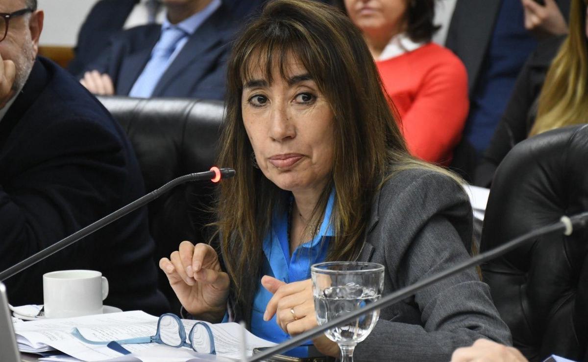 FOTO: Roxana Reyes, diputada por la UCR de Santa Cruz. (Foto: @roxanareyessc)