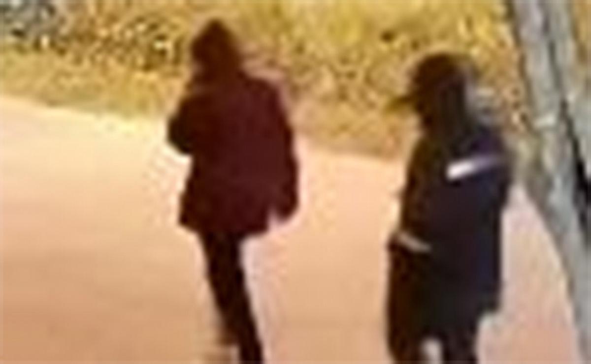 Desesperada búsqueda de un joven en Granadero Baigorria.