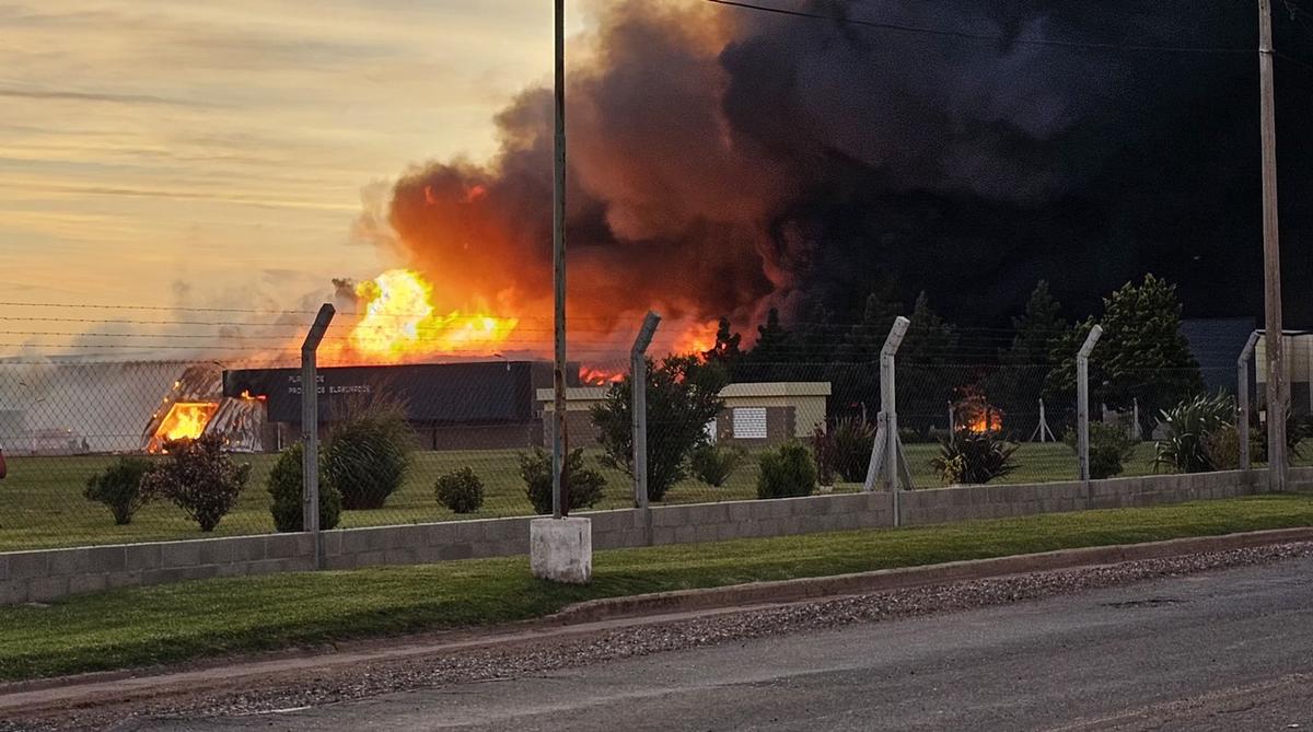 Se incendió una planta manicera en Pasco. (Foto: Policía de Córdoba)