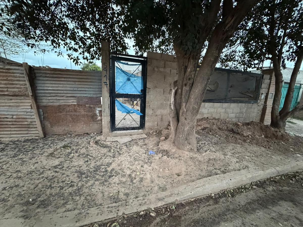 El lugar donde dos perros mataron a una beba en barrio Cabildo.