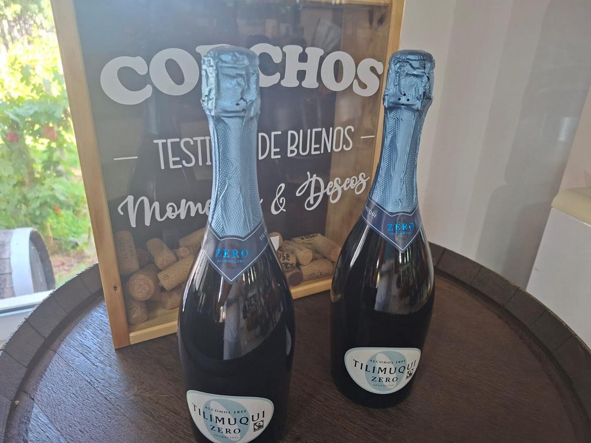 La riqueza cultural y vitivinícola de Chilecito