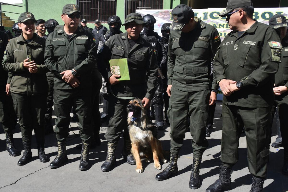 Rex, de perro vagabundo a oficial de la policía de Bolivia