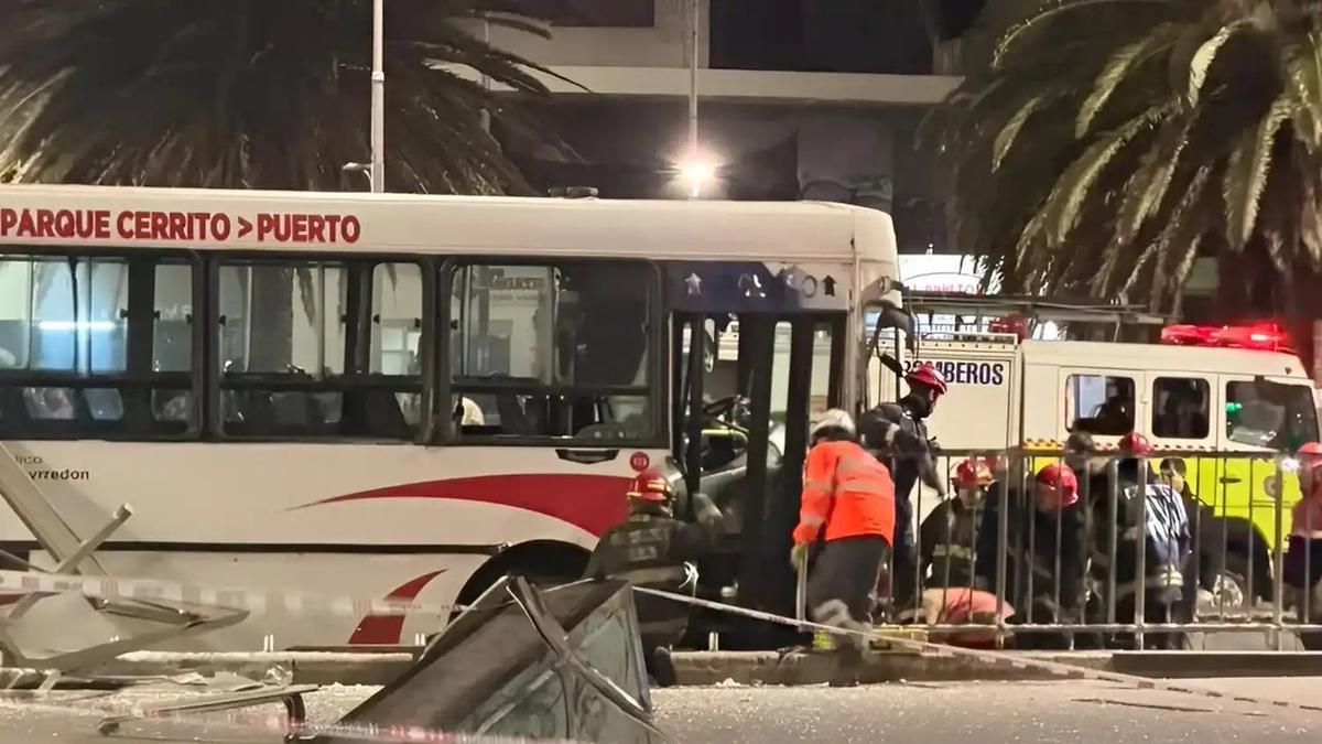 Chofer de colectivo involucrado en fatal accidente en Mar del Plata declaró ante la Justicia