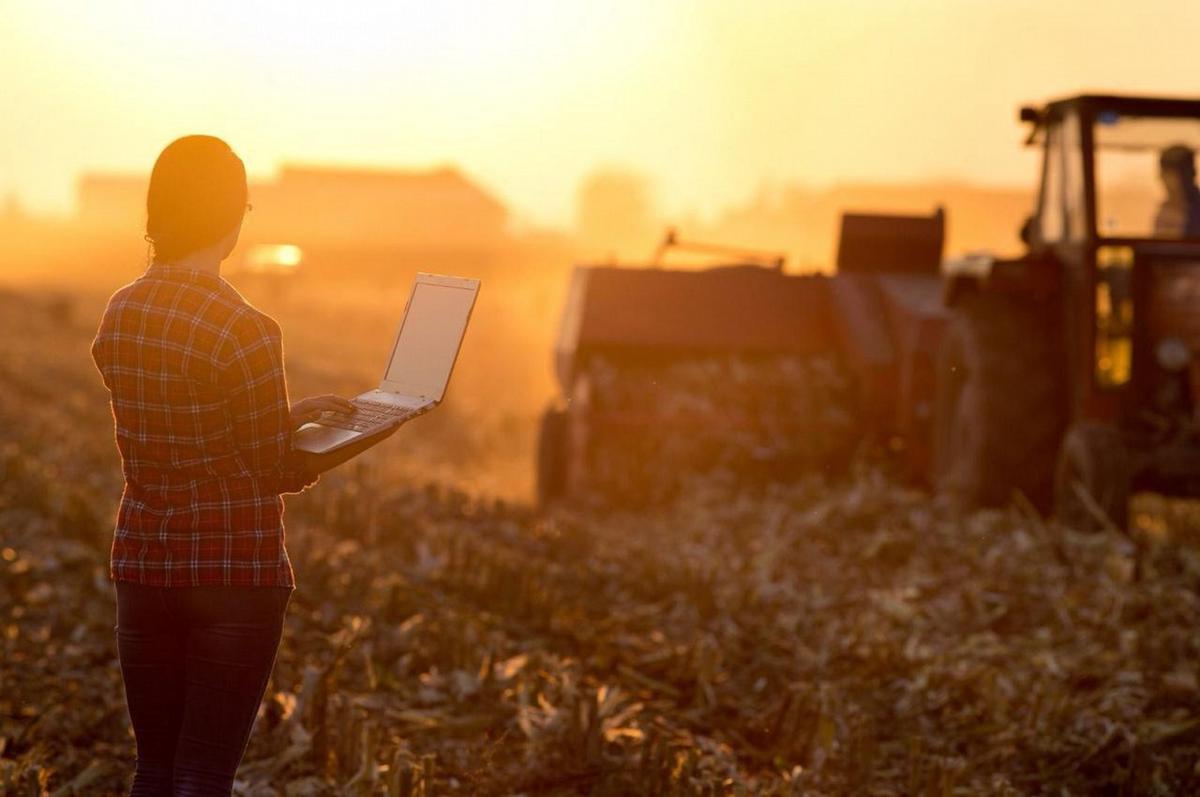 BNA: financiamiento al agro, con cartera agropecuaria de $4,5 billones