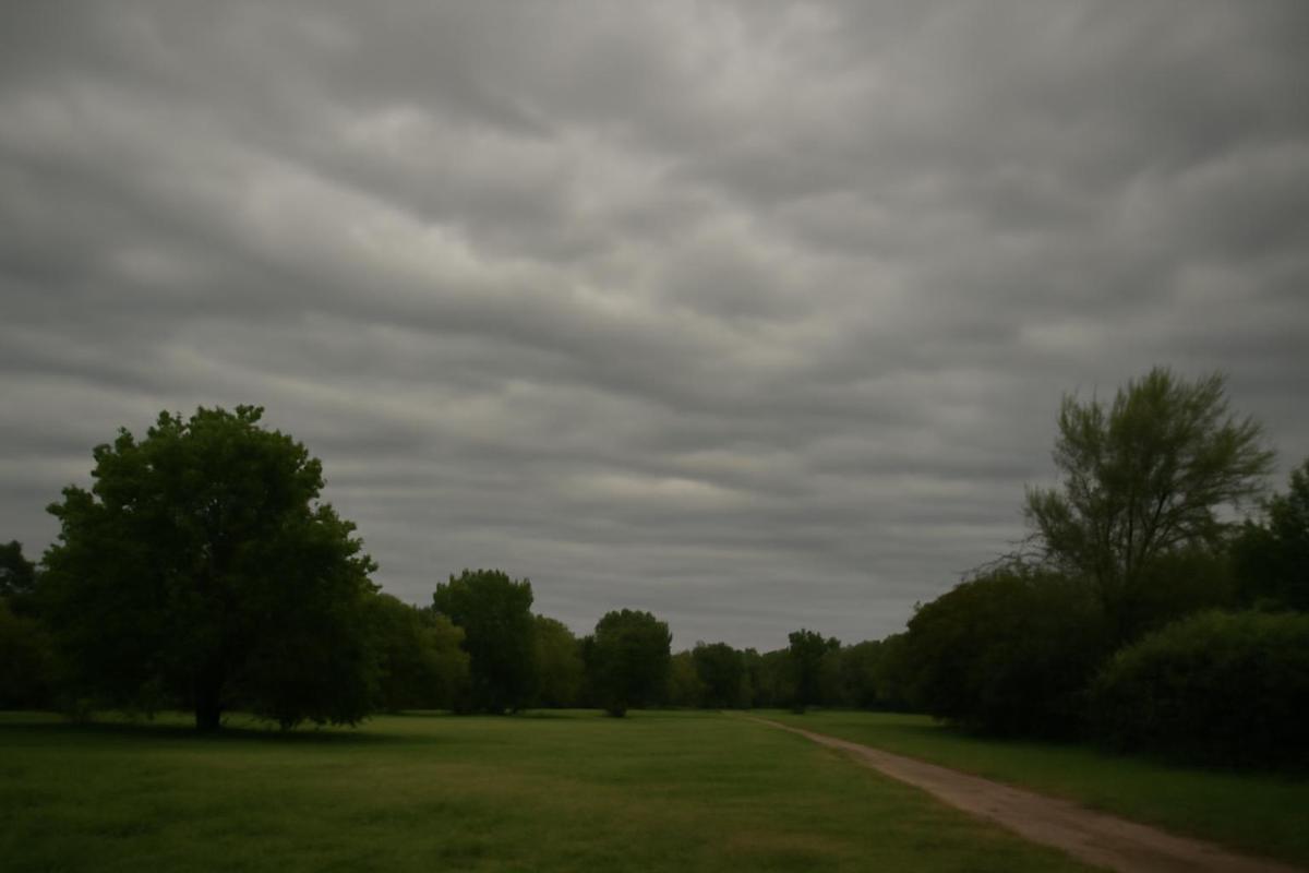 Clima en CABA: pronóstico del tiempo para el 17 de agosto
