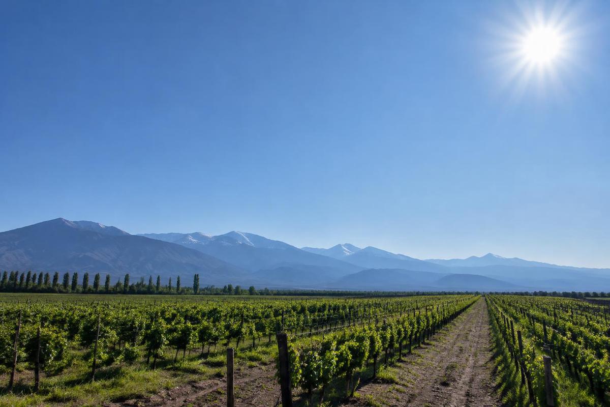Clima en Mendoza: pronóstico del tiempo para el 28 de octubre