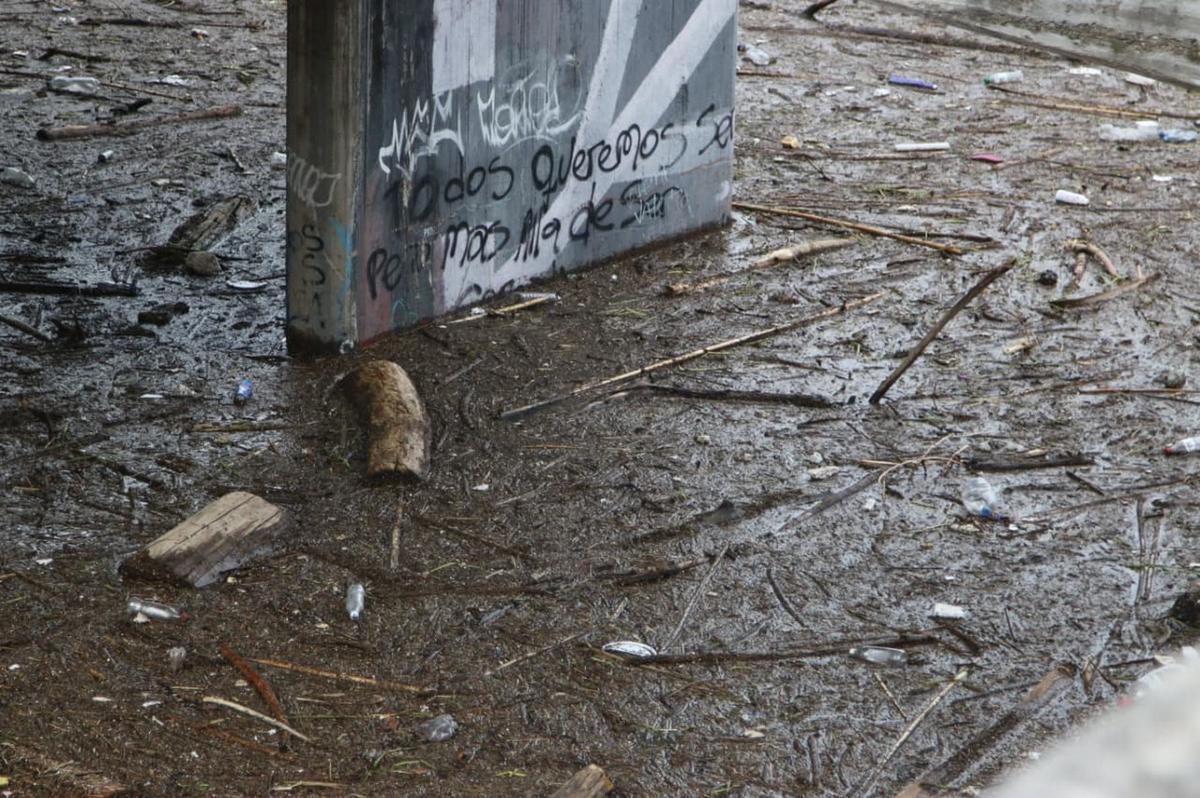 La impactante crecida del río Suquía. (Foto: Daniel Cáceres/C3)