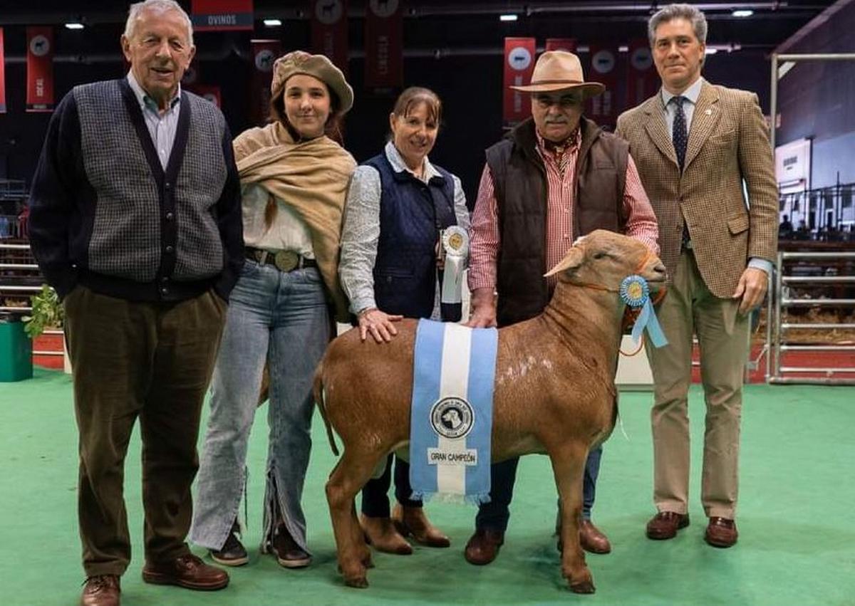 Sergio Taffarel en Palermo