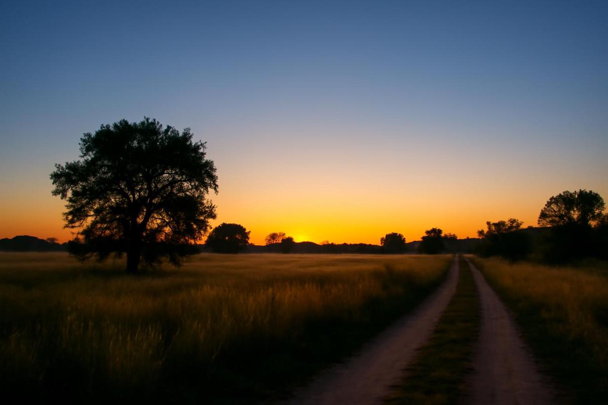 Clima en Rosario: pronóstico del tiempo para el 16 de diciembre