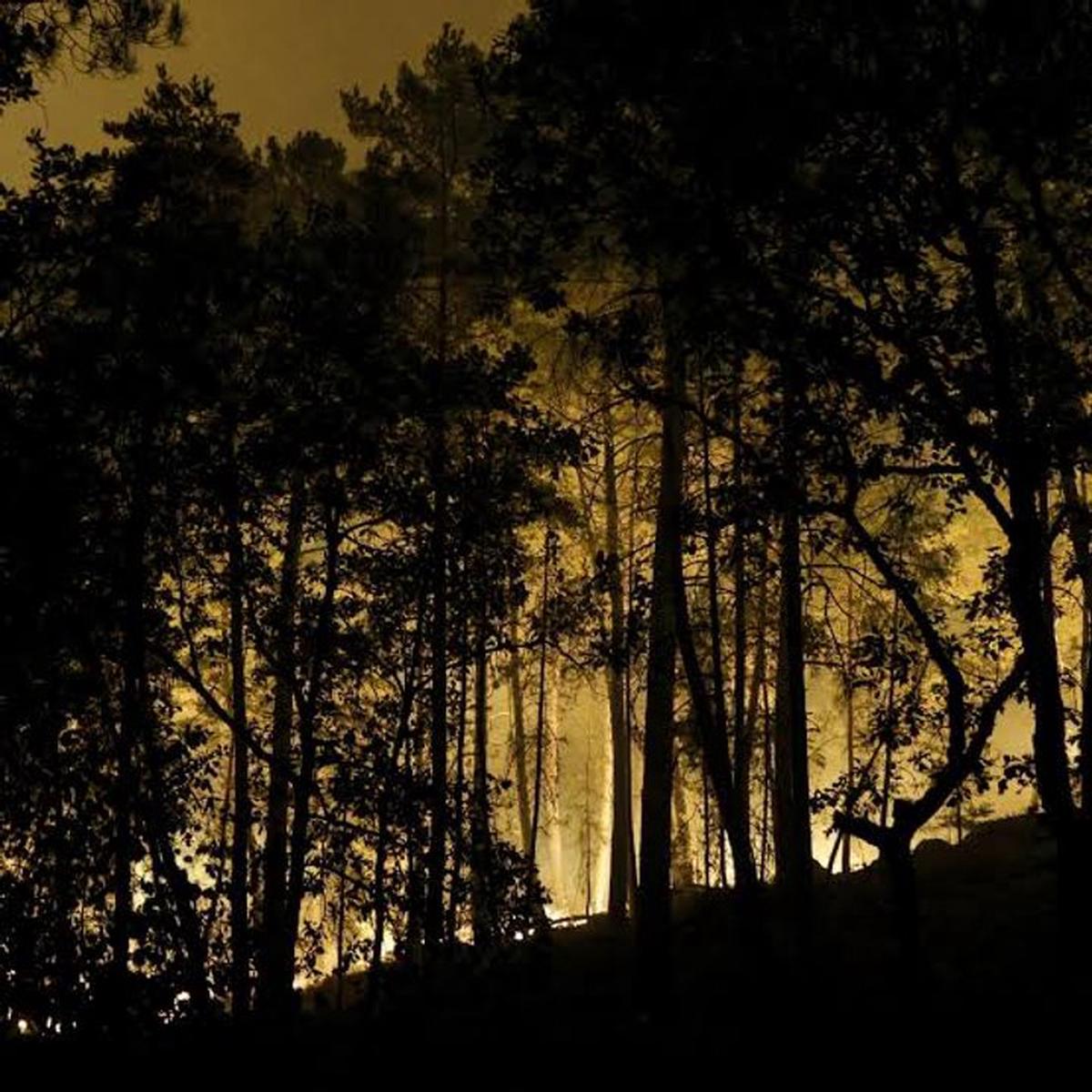 Seis detenidos, incluyendo un bombero, por causar incendio que arrasó más de 2000 hectáreas en el bosque de Fontainebleau.