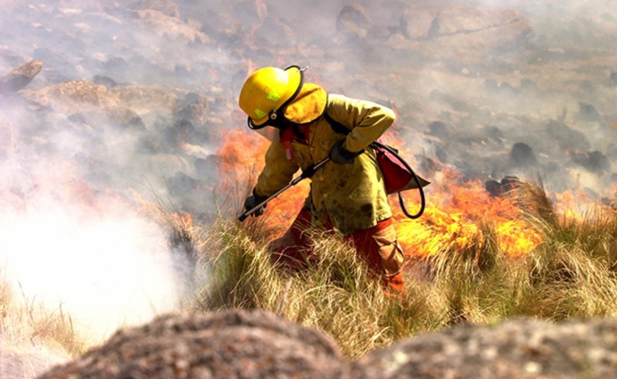 El incendio en el Parque Nacional Quebrada del Condorito arrasó 6 mil hectáreas.