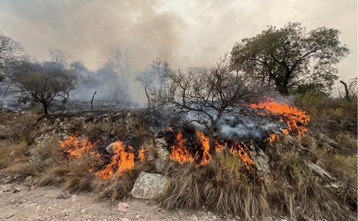 FOTO: Producción y ambiente. Los ejes de un debate que pide el campo cordobés.