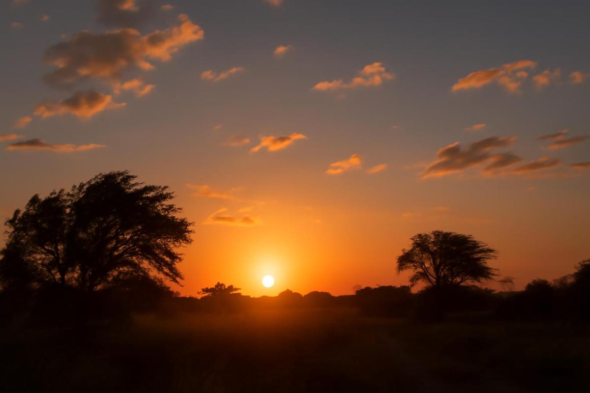 Clima en Rosario: pronóstico del tiempo para el 26 de enero