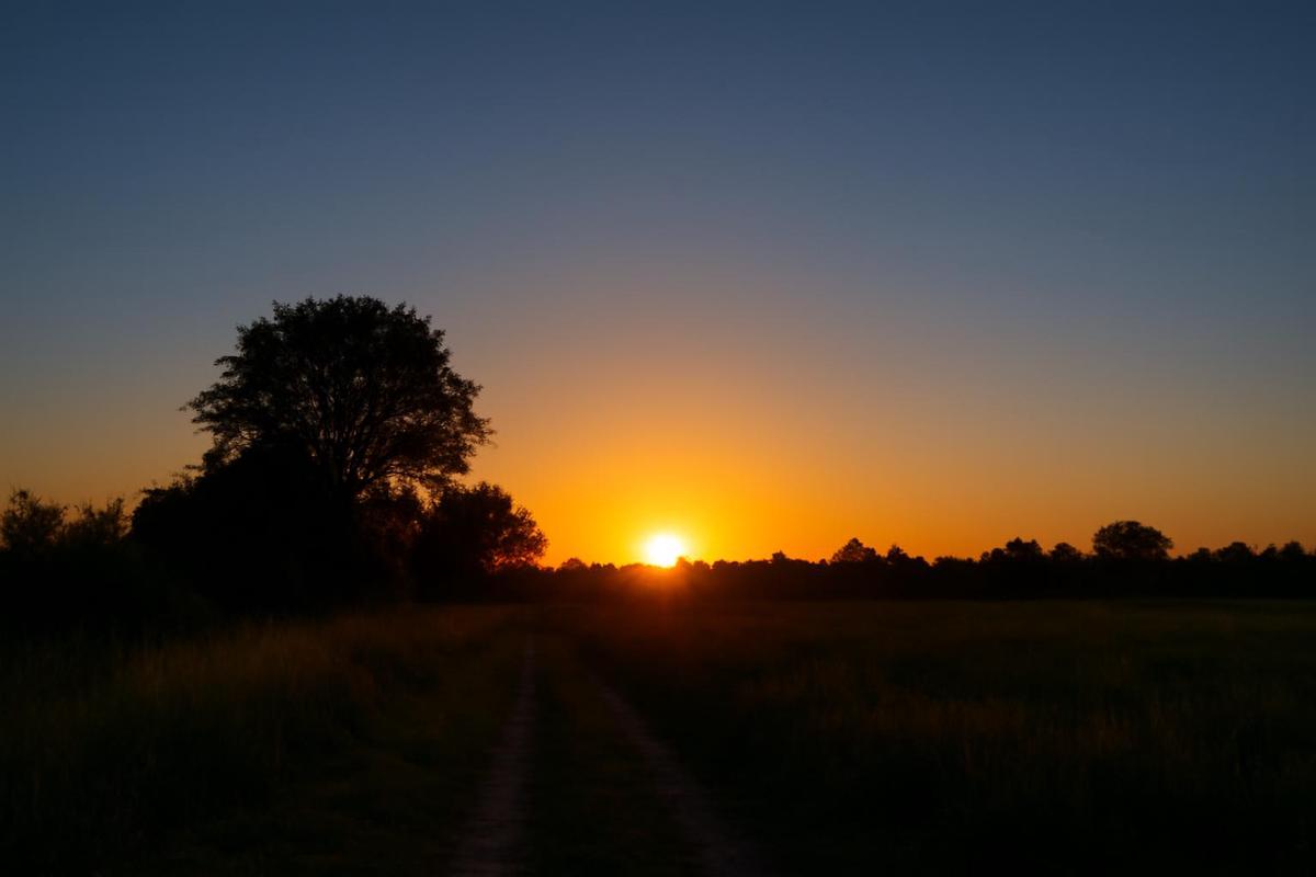 Clima en Tucumán: pronóstico del tiempo para el 23 de enero