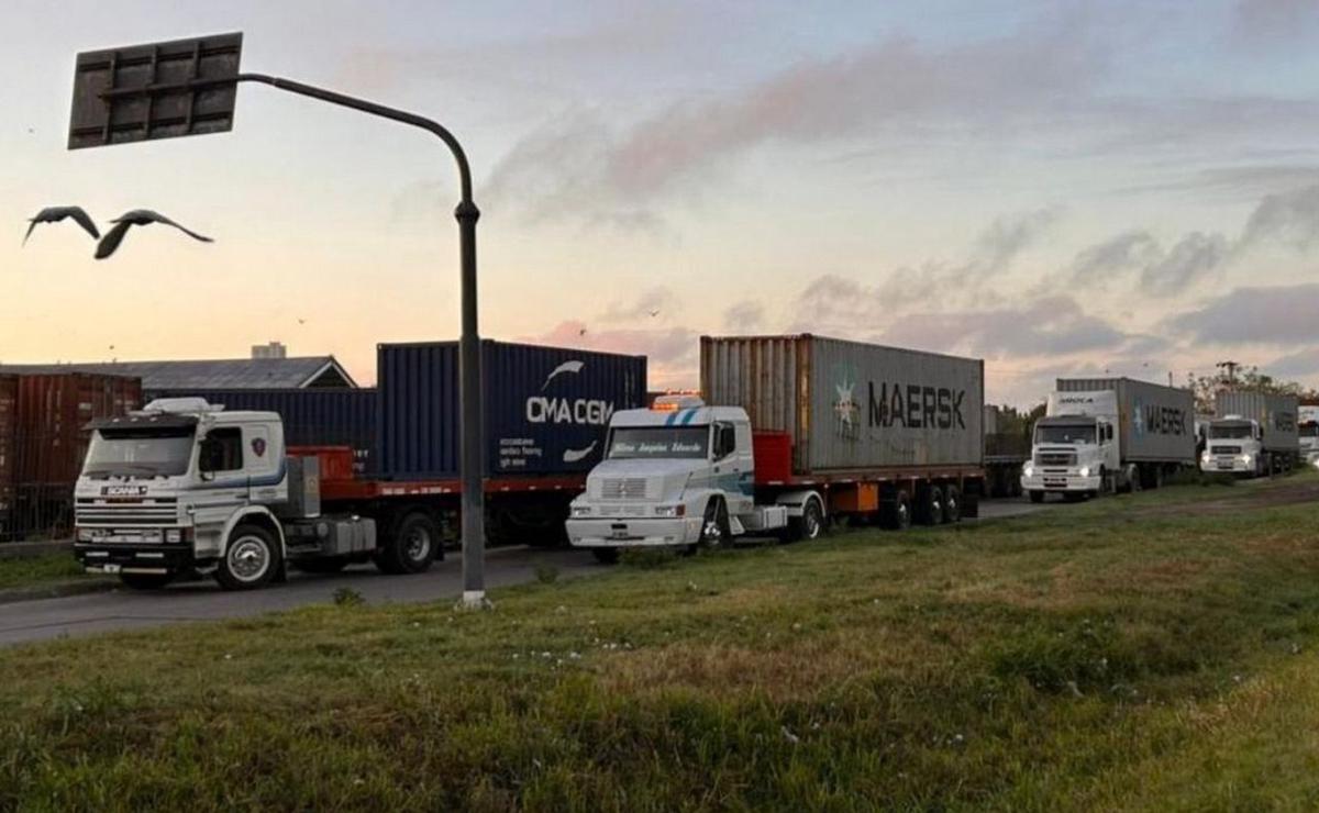 Fuerte presencia de camiones en medio de la cosecha.